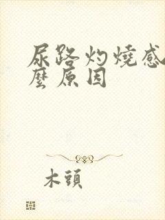 尿路灼烧感是什么原因