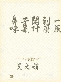 鼻子闻到一股怪味是什么原因