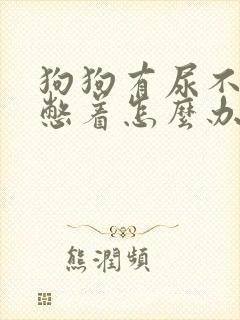 狗狗有尿不尿总憋着怎么办