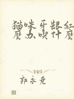 猫咪牙龈红肿怎么办吃什么药