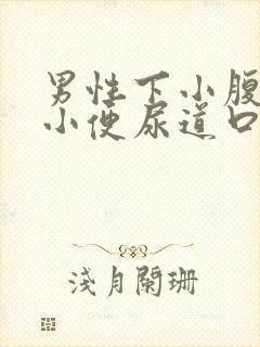 男性下小腹胀痛小便尿道口刺痛