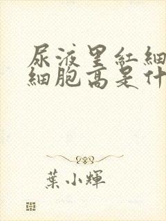 尿液里红细胞白细胞高是什么原因