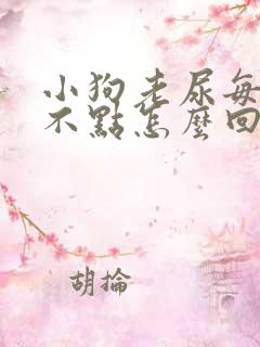 小狗老尿每回尿不点怎么回事