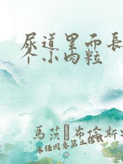 尿道里面长了一个小肉粒