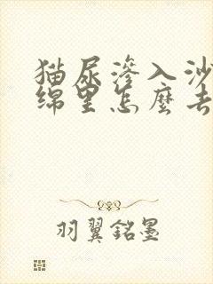 猫尿渗入沙发海绵里怎么去味