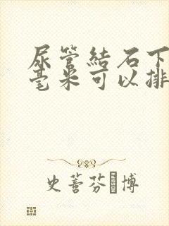 尿管结石下段六毫米可以排出来吗