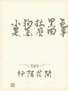 小狗拉黑色稀便是怎么回事