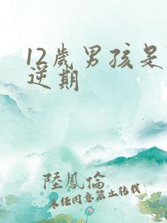 12岁男孩是叛逆期