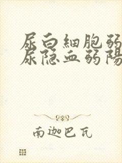 尿白细胞弱阳性尿隐血弱阳性什么意思