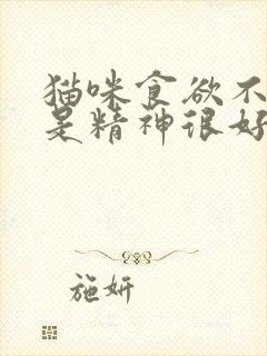 猫咪食欲不振但是精神很好