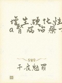 增生硬化性iga肾病治疗方案