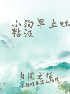 小狗早上吐白色粘液