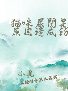 猫咪尿闭是什么原因造成的