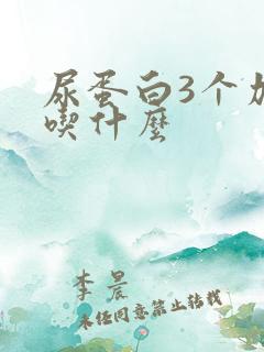 尿蛋白3个加号吃什么