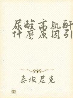 尿酸高肌酐高是什么原因引起的