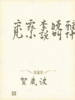 宋霖李晓雅陈一凡小说叫什么