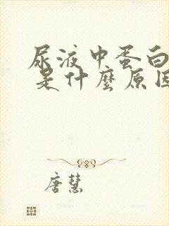 尿液中蛋白质2 是什么原因