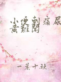 小便刺痛尿液发黄难闻