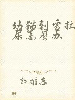 幼猫到处拉屎拉尿怎么办