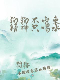 狗狗不吃东西没精神只喝水