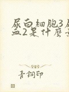 尿白细胞3尿潜血2是什么意思