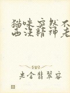 猫咪突然不吃东西没精神老是趴着