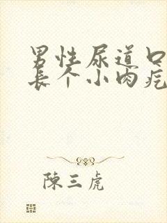 男性尿道口里面长个小肉疙瘩是怎么回事