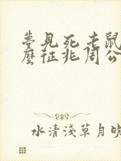 梦见死老鼠是什么征兆周公解梦