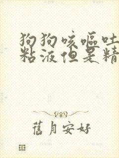 狗狗咳呕吐白色粘液但是精神好