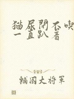 猫尿闭不吃不喝一直趴着