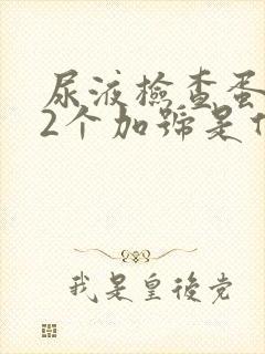 尿液检查蛋白质2个加号是什么意思