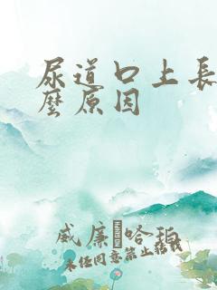 尿道口上长泡什么原因