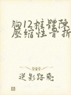 胸12椎体陈旧压缩性骨折