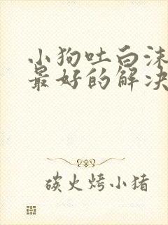 小狗吐白沫黏液最好的解决办法