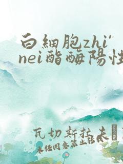 白细胞zhi'nei酯酶阳性