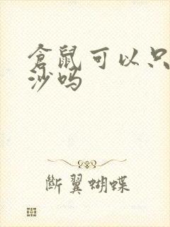 仓鼠可以只铺尿沙吗