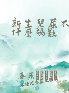 新生儿尿不湿用什么码数