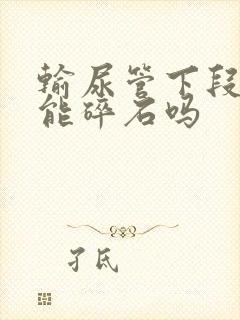 输尿管下段结石能碎石吗