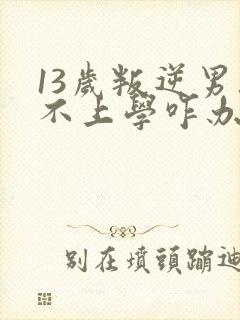 13岁叛逆男孩不上学咋办?