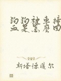 狗狗被车撞了尿血是怎么回事?