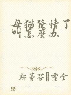 母猫发情了一直叫怎么办