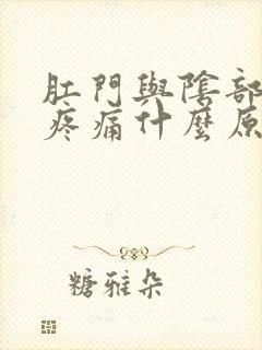 肛门与阴部之间疼痛什么原因