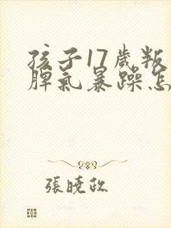 孩子17岁叛逆脾气暴躁怎么办