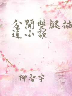 分开双腿插入阴道小说