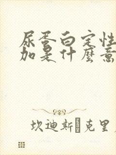 尿蛋白定性2个加是什么意的