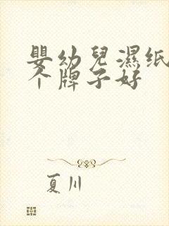 婴幼儿湿纸巾哪个牌子好