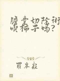 胆囊切除术后能吃柿子吗?