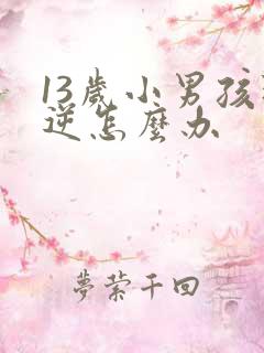 13岁小男孩叛逆怎么办