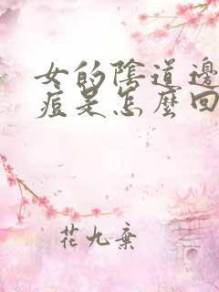 女的阴道边下长痘是怎么回事