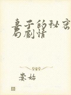 妻子的秘密大结局剧情